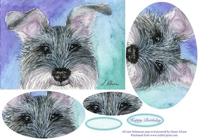 All Ears Schnauzer Pup Oval Pyramage
