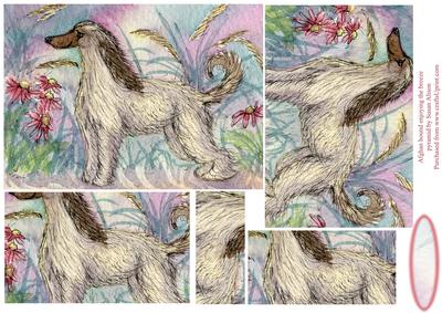 Afghan Hound Enjoying the Breeze Pyramage