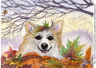 Yep - Autumn's in the Air