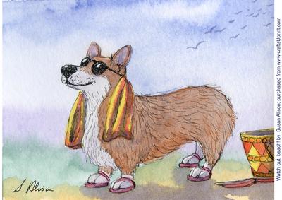 Watch Out, Beach! Corgi Dog is on His Way - 