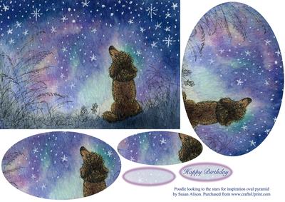 Poodle Looking to the Stars for Inspiration Oval Pyramage
