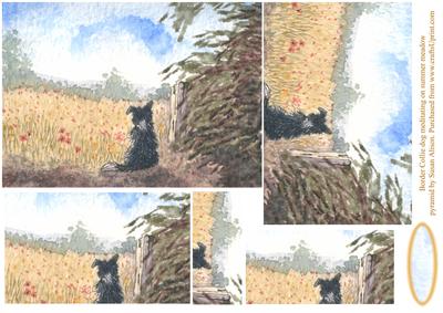 Border Collie Dog Meditating on Summer Meadow Pyramage