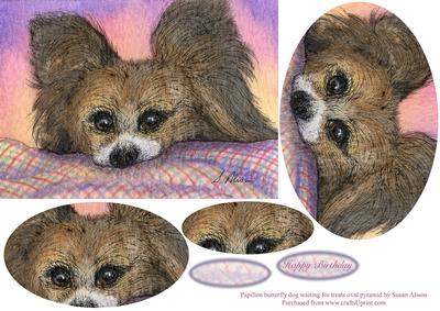 Papillon Butterfly Dog Waiting for Treats Oval Pyramage