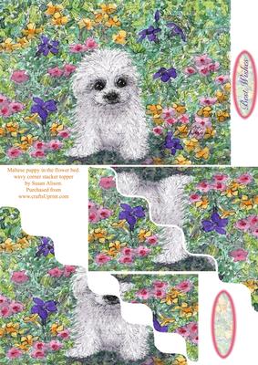Maltese Bichon Puppy in the Flower Bed Wavy Corner Stacker