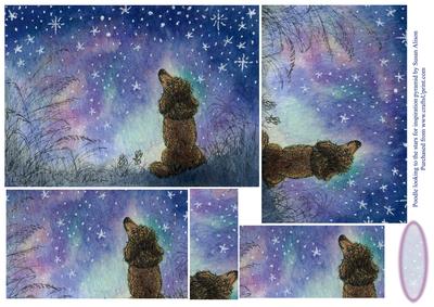 Poodle Looking to the Stars for Inspiration Pyramage