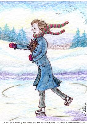 Cairn Terrier Hitching a Lift from Ice Skater