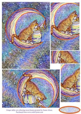 Ginger Tabby Cat Collecting Moon Beams Pyramage
