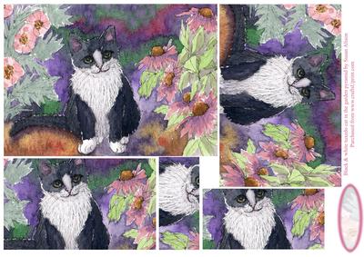 Black & White Tuxedo Cat in the Garden Pyramage
