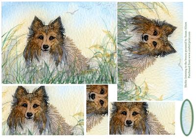 Sheltie Listening to the Breeze Pyramage