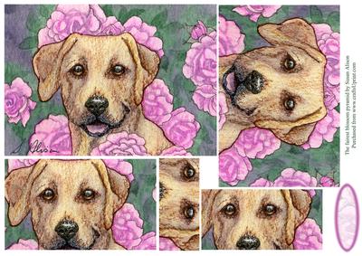 Labrador Retriever in the Flower Bed Pyramage