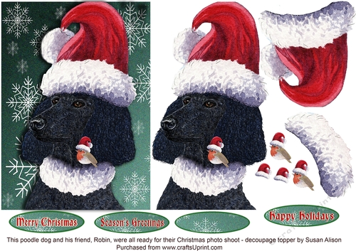 Black poodle dog and robin redbreast were all ready for their Christmas photo shoot - decoupage topper