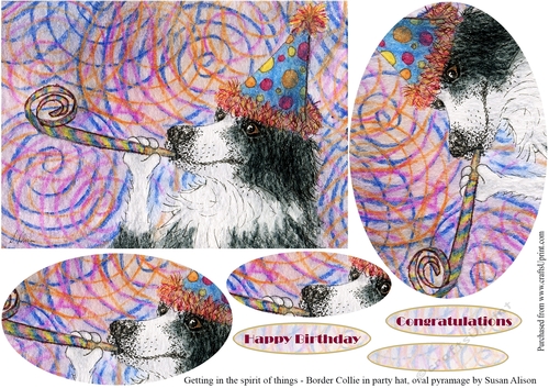 Getting in the spirit of things, Border Collie dog in a party hat - oval pyramage