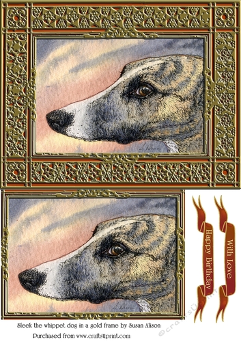 Sleek, the whippet dog in a gold frame