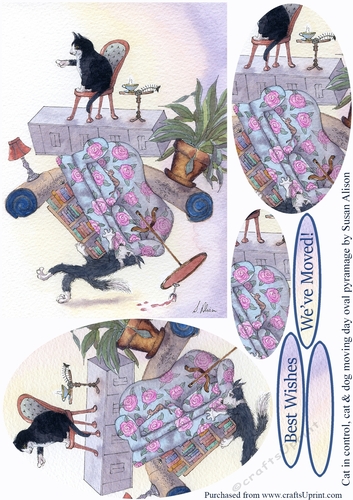 Cat in control, cat and border collie dog on moving day - oval pyramage
