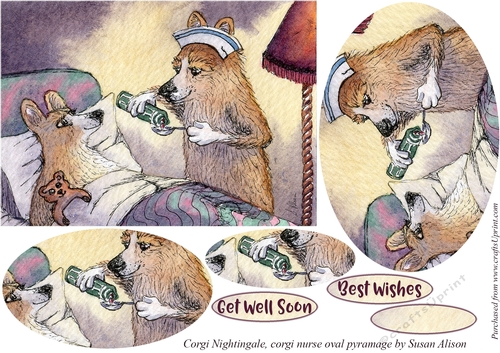 Corgi dog nurse and patient, oval pyramage