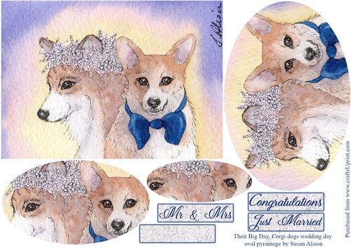 It was their big day - corgi dogs wedding day oval pyramage