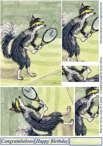 Dogs are always ready for a match, border collie playing tennis - rectangle pyramid