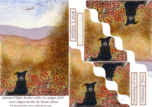 Autumn Flight, border collie dog in a poppy field - wavy edged stacker