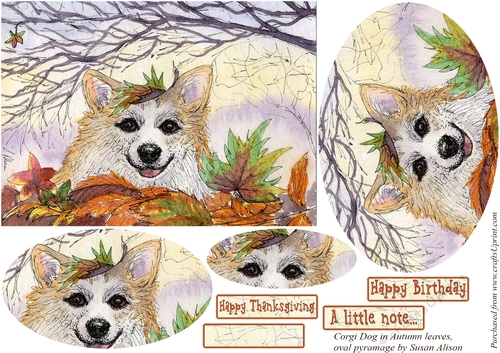 Yep - autumn is in the air. Corgi dog in autumn leaves, oval pyramage