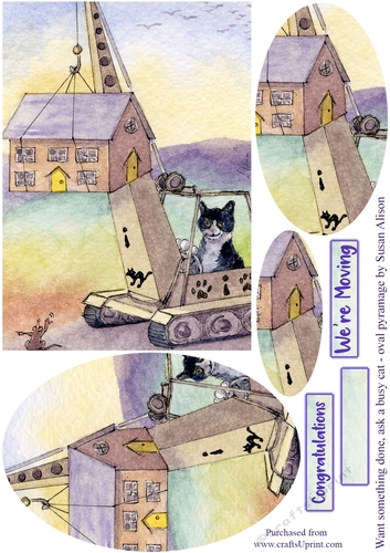 Want something done, ask a busy cat - cat moving house, oval pyramage 