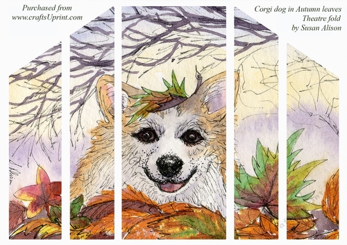 Yep - autumn is in the air. Corgi dog in autumn leaves, theatre fold