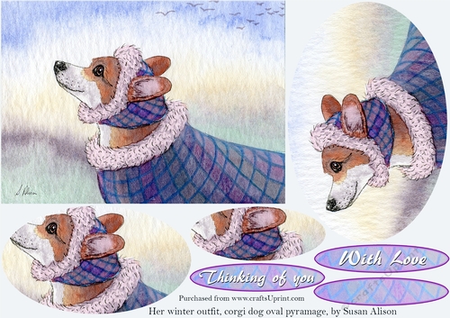 Her winter outfit, corgi dog oval pyramage