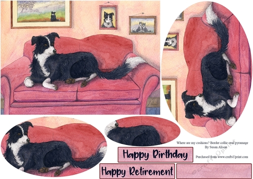 Where are my cushions? Border collie dog oval pyramage