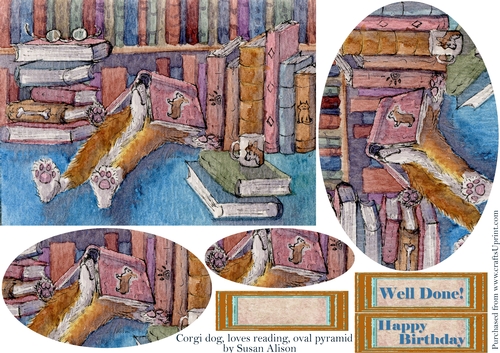 Welsh Corgi dog, who loves to read