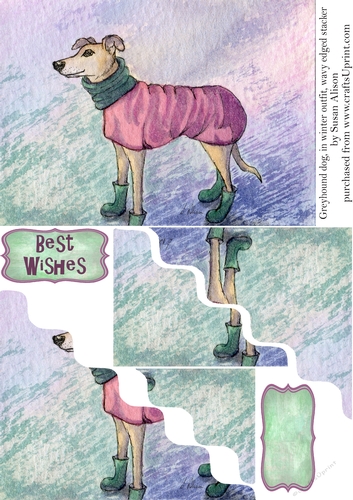 Greyhound dog in winter outfit and wellies