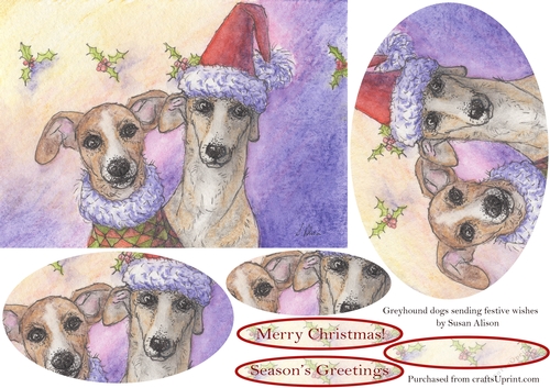 Greyhound dogs sending festive wishes