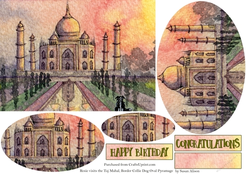 Rosie Visits the Taj Mahal, Border Collie dog oval pyramage