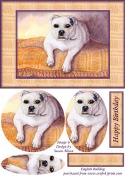 English Bulldog Card Front and Oval Pyramage