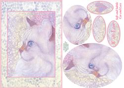 Soft and Subtle, Cat and Lace Card Front
