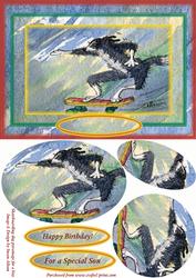 Skateboarding Dog Pyramage for Boy