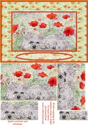 Westie Dogs Sleeping in the Poppies Quick Card