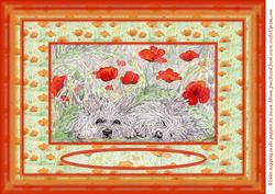 West Highland Terrier Dogs Sleeping in the Poppies