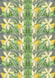 Large Daffodils Backing Sheet