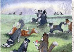 A4 the Bad Dog of Football