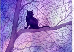 A4 Cat Sitting in a Tree Gazing at the Evening