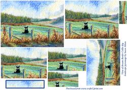 View of Dreams Border Collie Dog in Landscape