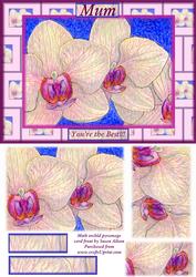 Moth Orchid Card Front for Mum