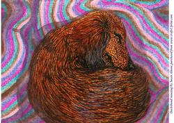A4 Dachshund Snoozing