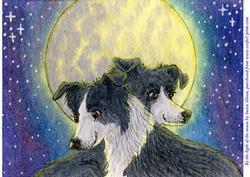 A4 by the Light of the Moon