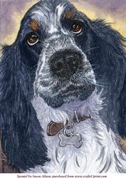A4 Spaniel