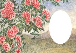 Roses Against the Sky Insert with Oval Space