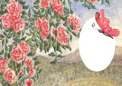 Roses Against the Sky Insert with Butterfly on Oval Space