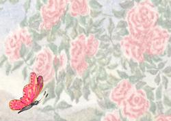 Roses Against the Sky with Butterfly Vellum