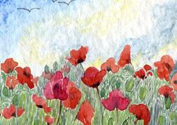 Poppies Against the Sky Backing Paper