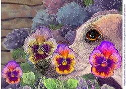 A4 Whippet Greyhound Hiding in the Flower Bed