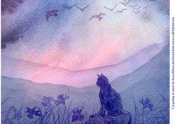 A4 Cat Gazing at the Sunset
